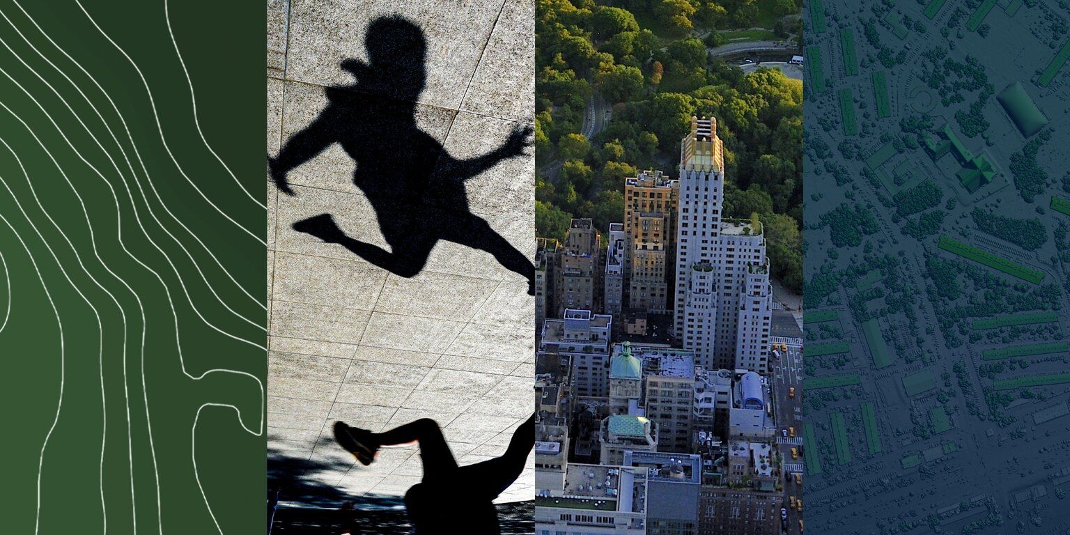 Collage of topographic lines, a child's shadow, an aerial view of Central Park and a tree canopy map